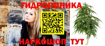 гашик Краснознаменск