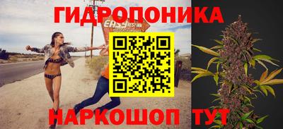 гашик Краснознаменск