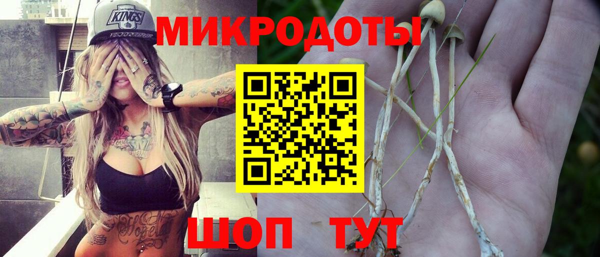 купить закладку  Псилоцибиновые грибы Psilocybe  Псилоцибиновые грибы Psilocybe  Вход с VPN  Кемерово 